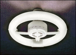 Fluorescent Bulbs