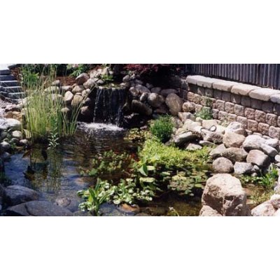 Basket Fountain Aquascape - Basket Fountain - Container Water Garden
