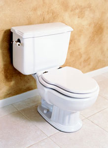 Charleston/ Carla Elongated Toilet