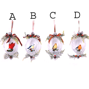Bird Ball