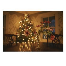 Christmas Tree Photographic Poster Print by Roy Gumpel, 24×18 Floral Centerpiece with a Lit Christmas Tree in a Dining Room