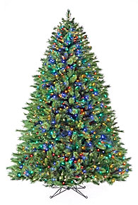 CHRISTMAS TREES