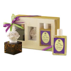 Citrus Plum Berry Diffuser Set