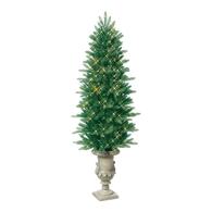 6′ Just Cut Frasier Fir Potted Tree