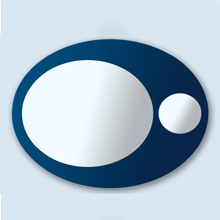 Magnolia Mirror