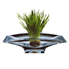 Nambé Planar 8-by-14-Inch Bowl