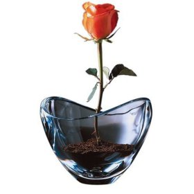 NambT Amore 7-1/2-Inch Crystal Bowl