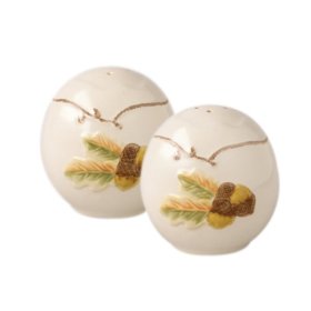 Pfaltzgraff Plymouth Salt & Pepper Set