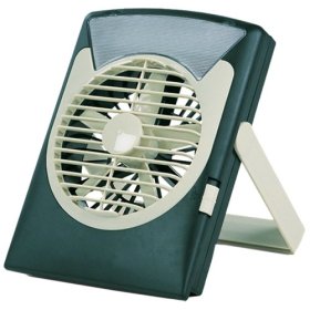 Wenzel LED Fan Light