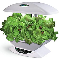 Aerogrow® Aerogarden