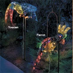 Animated Parrot