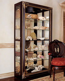 Curio Cabinet