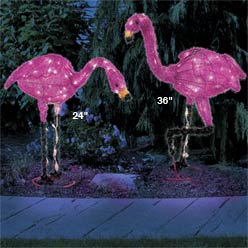 Flamingo