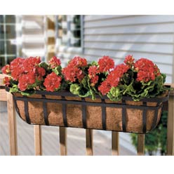 Flat-Iron Planters