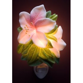 Flowers of Light Night Lights Azalea Ibis & Orchid Designs