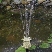 Garden Paradise Pond Kit, 4×6