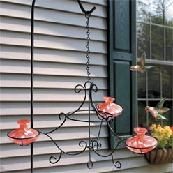 Hummingbird Feeder