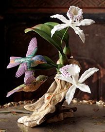 Leadbeater’s Hummingbirds