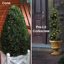 Polyethylene Topiaries