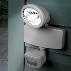 Solar Motion Floodlight