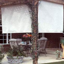 Window Shades