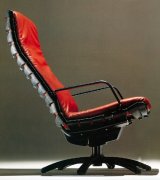 Antropovarius Easy Chair