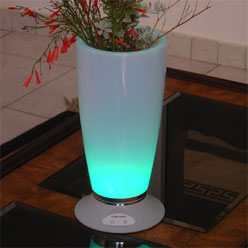 Atmosphere Light-Changing Vase