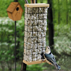 Bird Nester