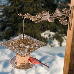 Cardinal Tube Bird Feeder