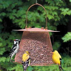 Copper “No-No” Bird Feeder