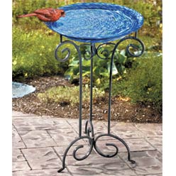 Glass Bird Bath and Stand