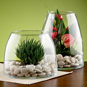 Glass Terrarium