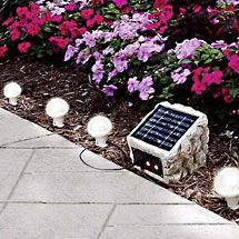 Outdoor Multi-Use Solar String Lights, Set of 14