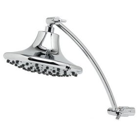 AquaScape Spa Showerhead