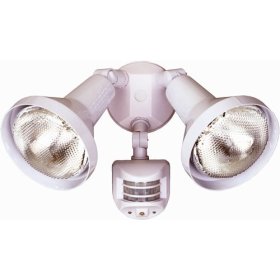 Outdoor Two-Light Downward Floodlight