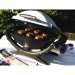 Portable Gas Grill