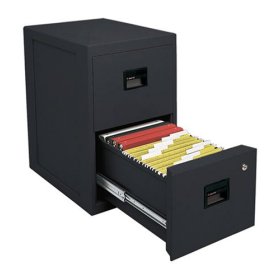 Sentry Safe 1 Hour Fireproof Two Drawer Office File
