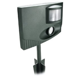 Ultrasonic Outdoor Cat Deterrent