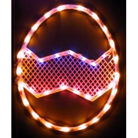 EASTER EGG eggs Dyed HOLIDAY LIGHT lights WINDOW d?r