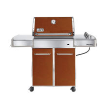 Propane Gas Grill