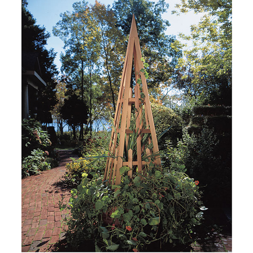Pyramid Trellis Better Home Improvement www