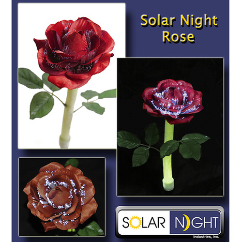 Solar Night Flower Rose