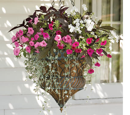 Angel Falls Annual Collection