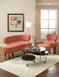 Contemporary and Cute Loveseat and Lounge Chair