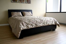 Contemporary Brown Bicast Leather King Queen Platform Bed