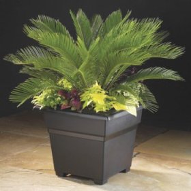 Countryside Tub Planter