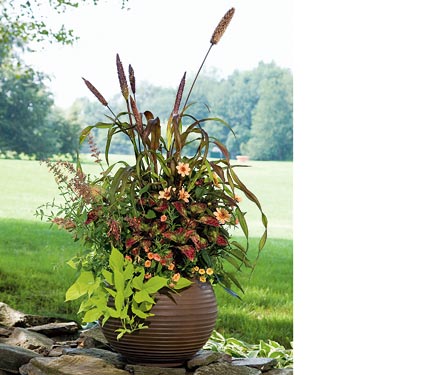 Jester’s Jubilee Annual Collection