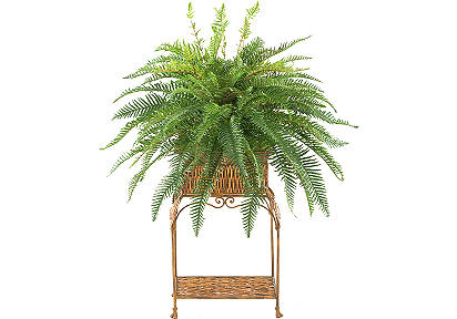 River Fern w  Square Stand Silk Floral