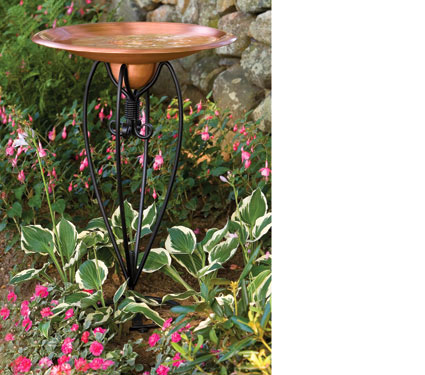 See-Through Birdbath