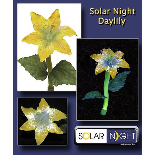 Solar Night Flower Day Lilly